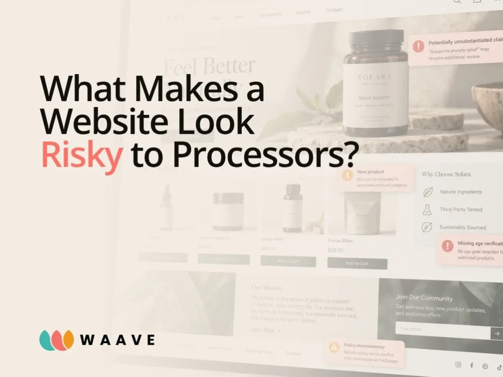 What Makes a Website Look Risky to Payment Processors?