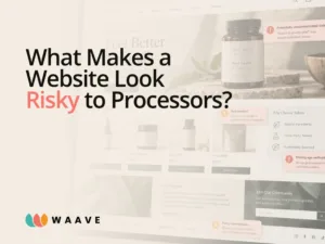 What Makes a Website Look Risky to Payment Processors?