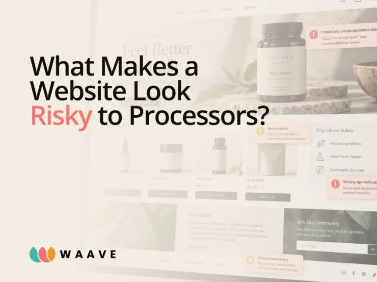 What Makes a Website Look Risky to Payment Processors?